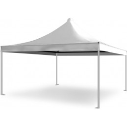 Professional Gazebo with...